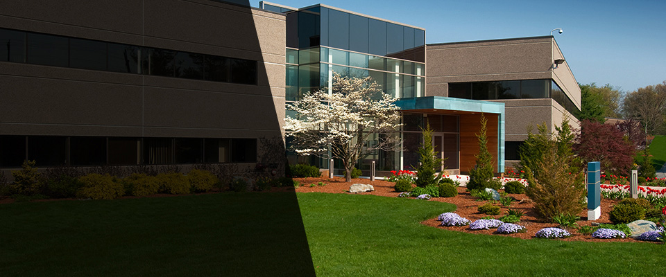 Piedmont Landscapers