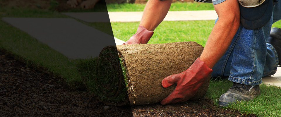 Piedmont Landscapers